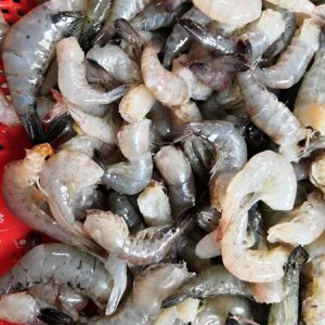 Tôm bầu cắt đầu_túi PA 500g gói