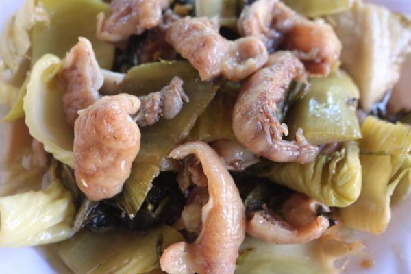 NL BAO TỬ CÁ CHẼM