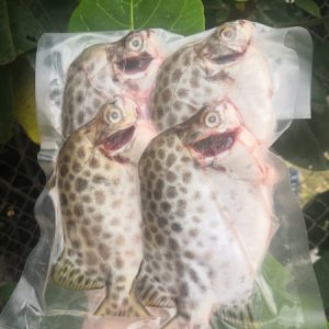 Cá nâu Nước lợ_Gói 450g