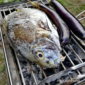 CÁ DÌA NƯỚC LỢ_1 con/túi 300-350gr