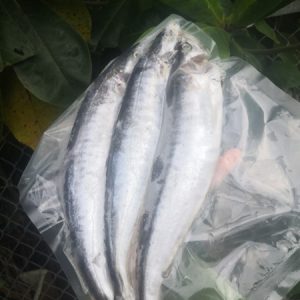 Alternative view of CÁ THU NGUYÊN CON LÀM SẠCH