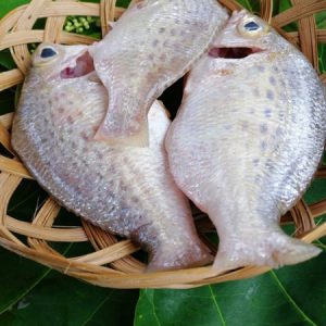 Cá Móm Rừng Rừng ngập mặn_Gói 340g