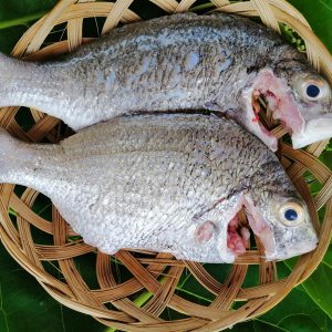 Cá hanh Nước lợ_Gói 650g