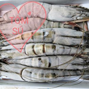 TÔM SÚ THIÊN NHIÊN SIZE 18 - 22CON/KG _500G