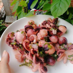 Alternative view of Bạch tuộc trứng_ gói 500g