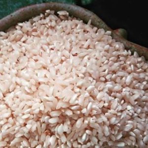 Gạo hồng vuông tôm_Kg