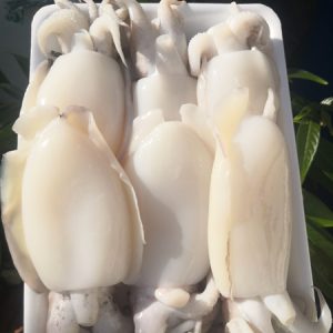 Mực nan làm sạch lột da _ Gói 500g