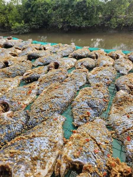 Cá phi ướp sả ớt 1 nắng NH