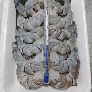 Tôm he rừng ngập mặn bóc nõn size to_Gói 300g