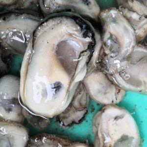 Alternative view of Hàu sông tách thịt_ Gói 250g