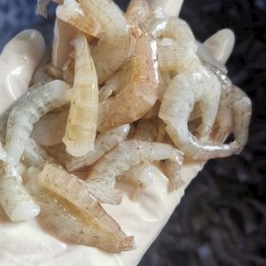 Tôm thiên nhiên làm sạch đầu và chỉ lưng_300gram